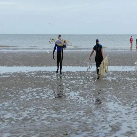Near Ostend With Sea View, Cleaning Included *