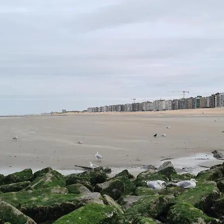 Near Ostend With Sea View, Cleaning Included