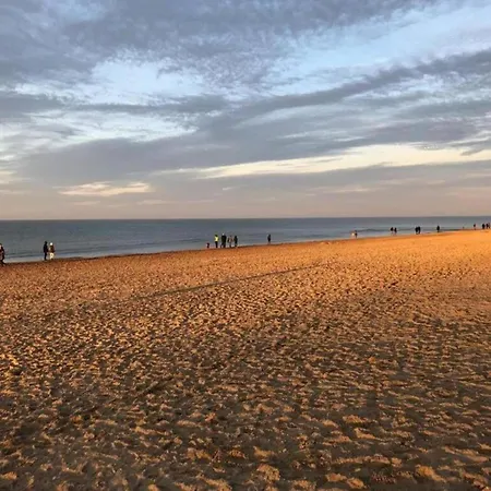 Near Ostend With Sea View, Cleaning Included Apartmán